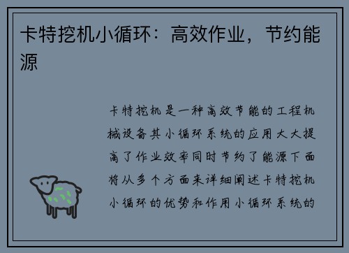 卡特挖机小循环：高效作业，节约能源